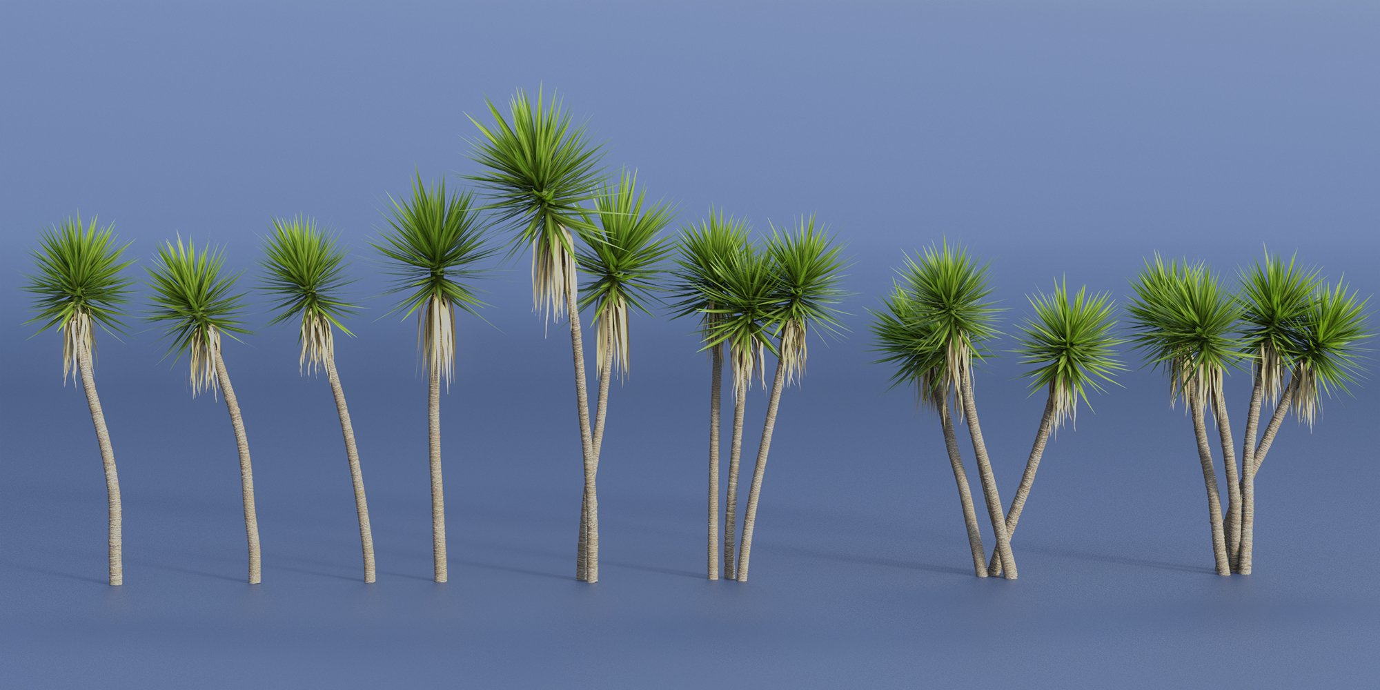 Predatron Yucca Spanish Bayonet Trees by: Predatron, 3D Models by Daz 3D