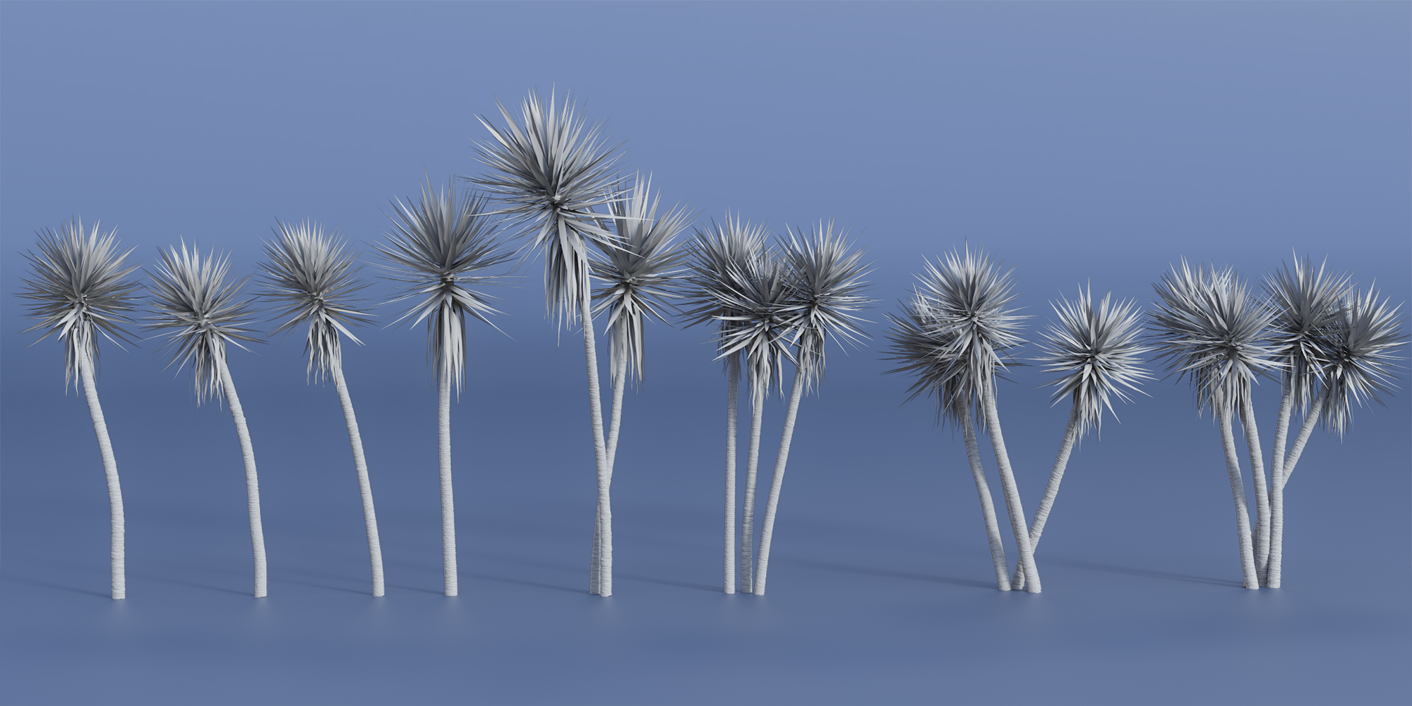 Predatron Yucca Spanish Bayonet Trees by: Predatron, 3D Models by Daz 3D