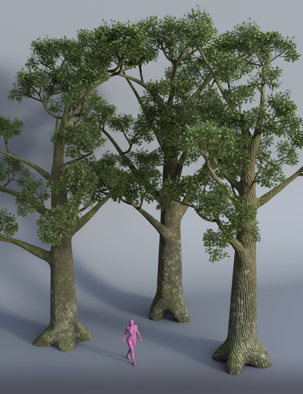 Muelsfell Modular Murky Swamplands by: E-Arkham, 3D Models by Daz 3D