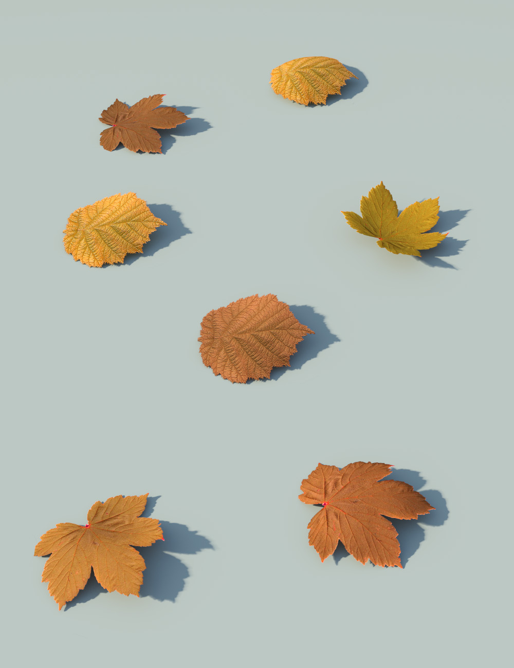Fallen Leaves - Scatters and Drifts for Daz Studio by: MartinJFrost, 3D Models by Daz 3D