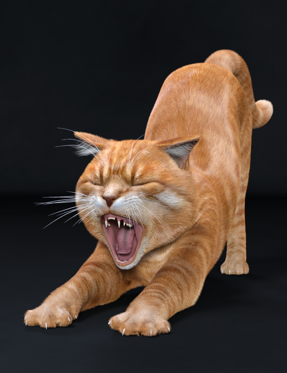 Cat Zeus by: Vyusur, 3D Models by Daz 3D