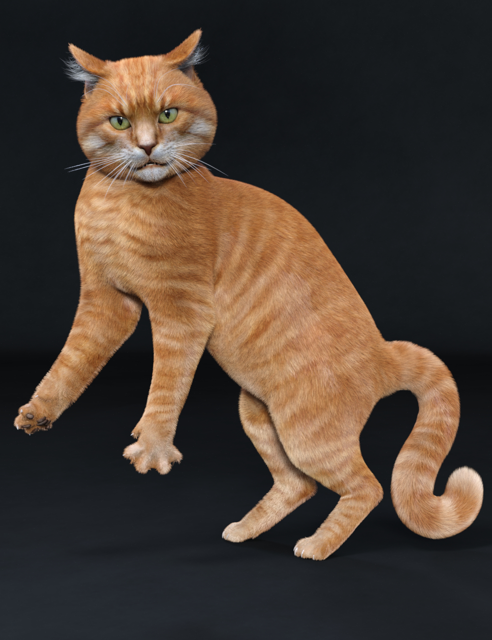 Cat Zeus by: Vyusur, 3D Models by Daz 3D