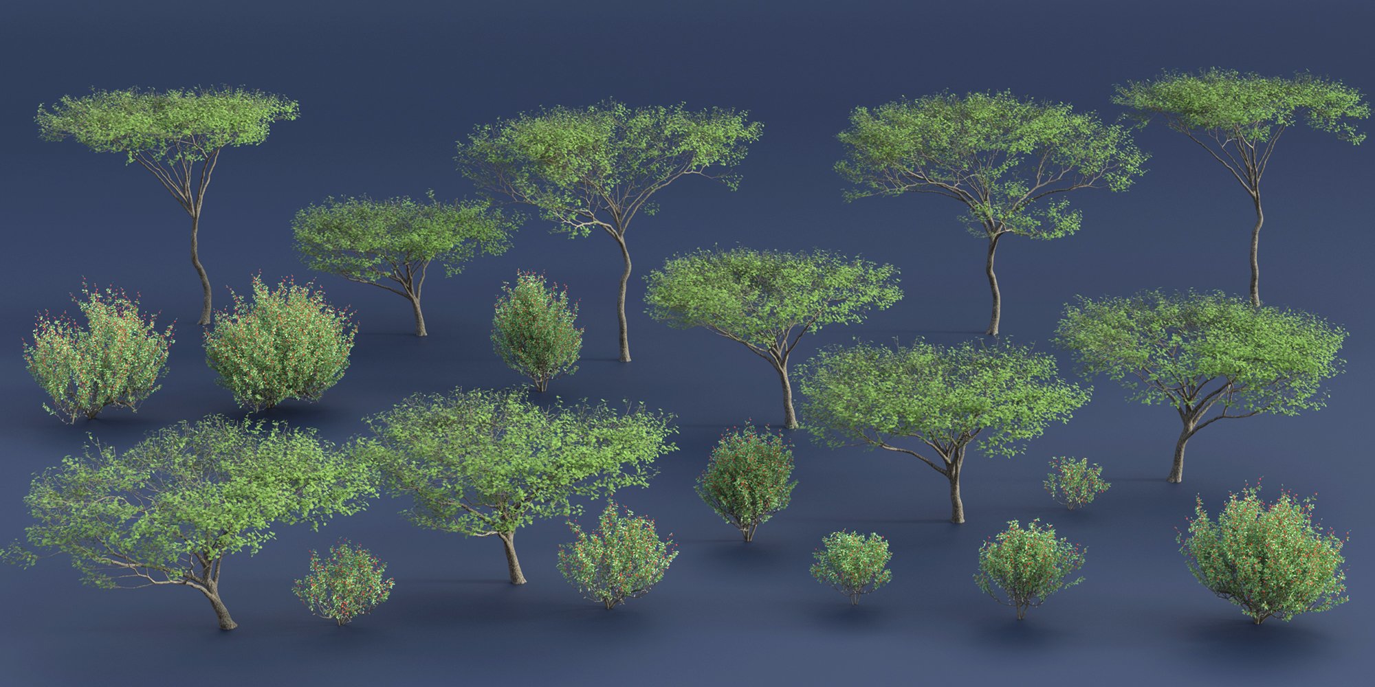 Predatron African Trees and Bushes by: Predatron, 3D Models by Daz 3D