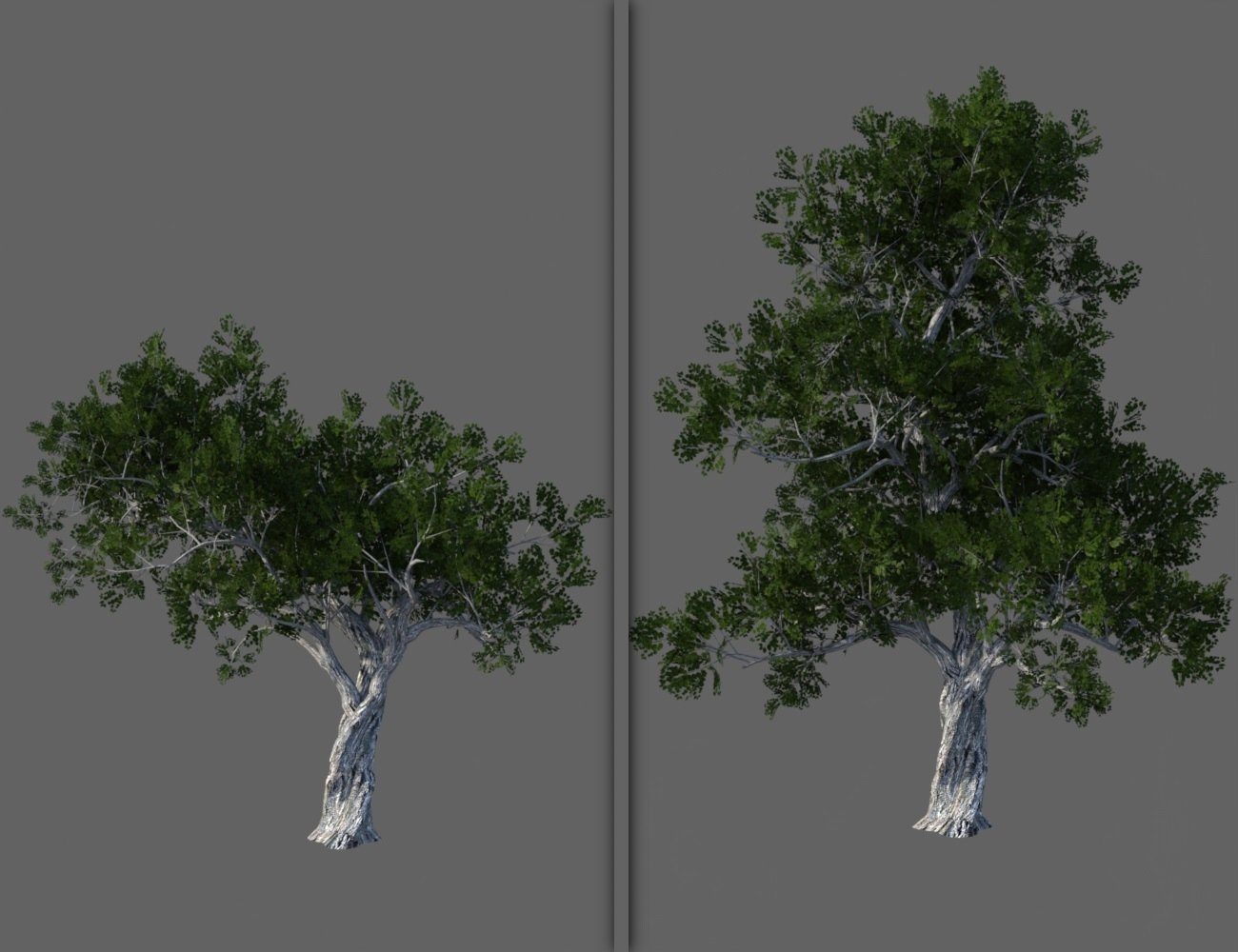 My Fantastic Trees My Fantastic Trees by: JeffersonAF, 3D Models by Daz 3D