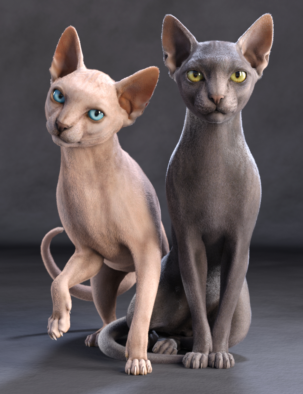 Sphynx HD for Cat Zeus by: Vyusur, 3D Models by Daz 3D