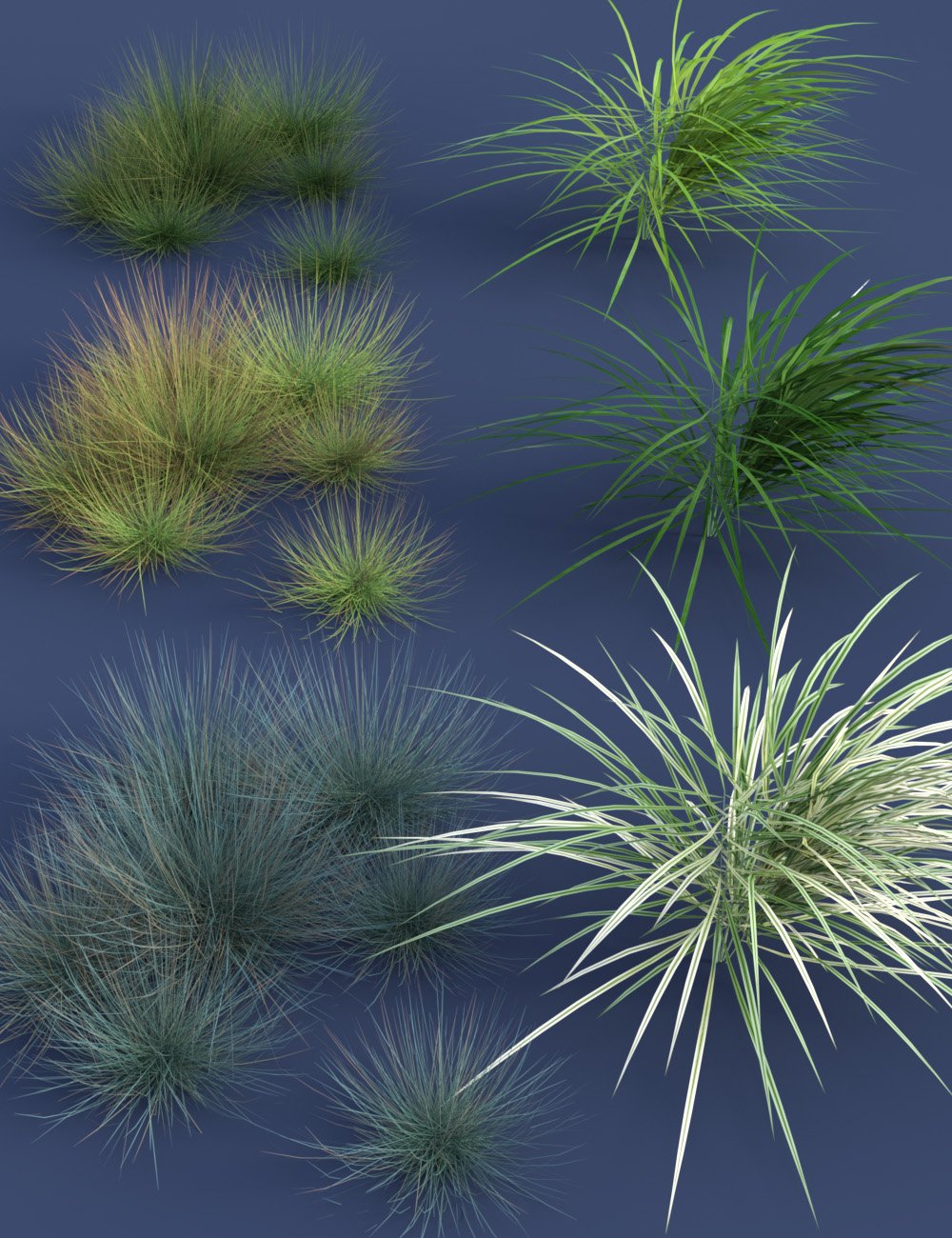 Ornamental Grass Plants and Groups for Daz Studio Ornamental Grass Plants and Groups for Daz Studio by: MartinJFrost, 3D Models by Daz 3D