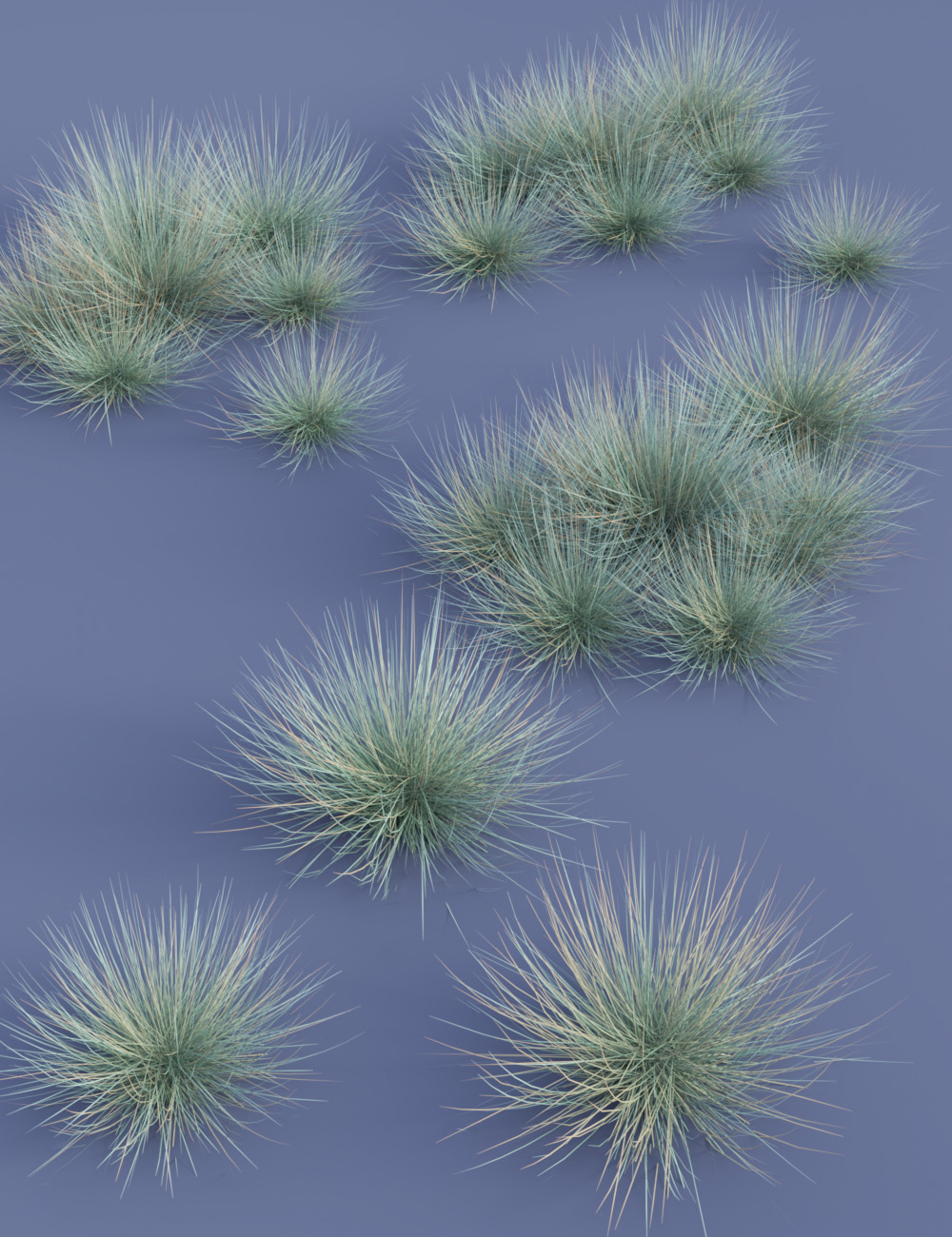 Ornamental Grass Plants and Groups for Daz Studio by: MartinJFrost, 3D Models by Daz 3D