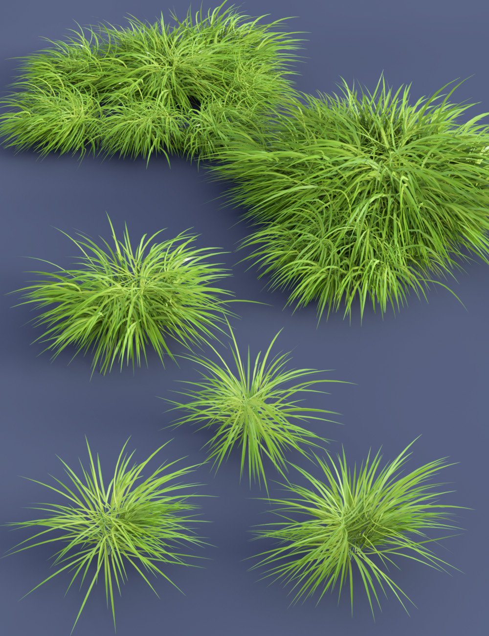 Ornamental Grass Plants and Groups for Daz Studio by: MartinJFrost, 3D Models by Daz 3D