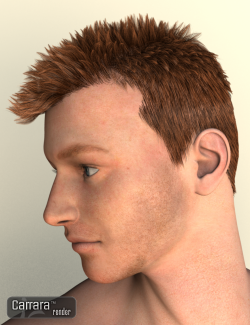 M4 Metro Hair by: Idaroller, 3D Models by Daz 3D