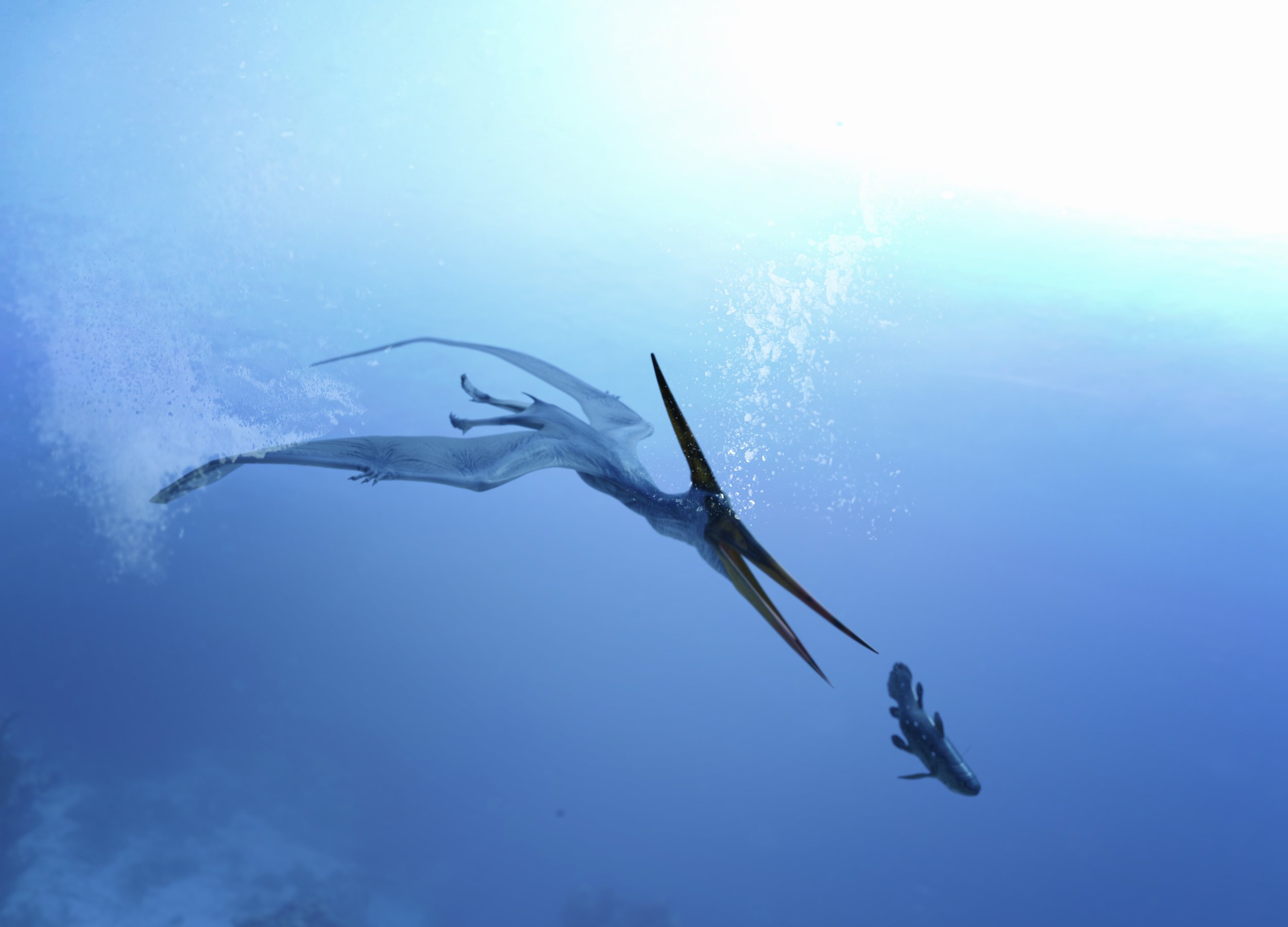 dForce Pteranodon by AM dForce Pteranodon by AM by: Alessandro_AM, 3D Models by Daz 3D