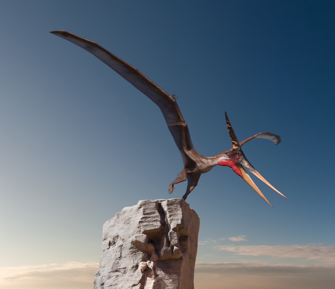 dForce Pteranodon by AM dForce Pteranodon by AM by: Alessandro_AM, 3D Models by Daz 3D