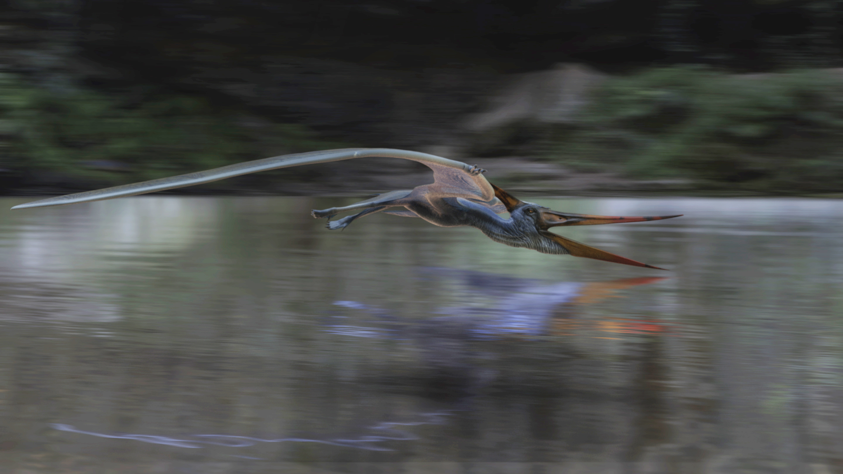 dForce Pteranodon by AM by: Alessandro_AM, 3D Models by Daz 3D