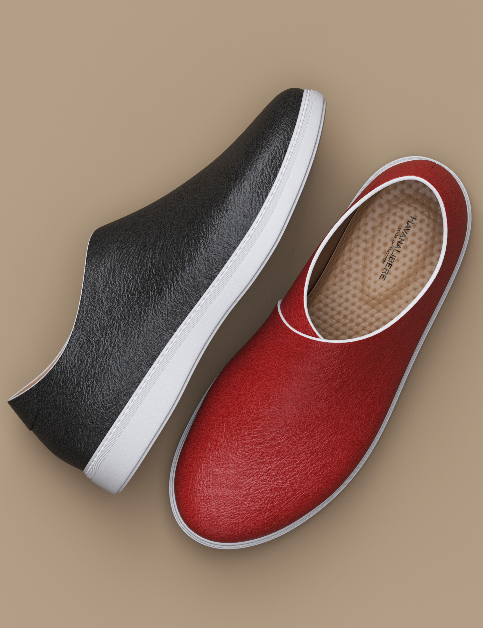 HL Loafers Shoes for Genesis 8 and 8.1 Male by: Havanalibere, 3D Models by Daz 3D