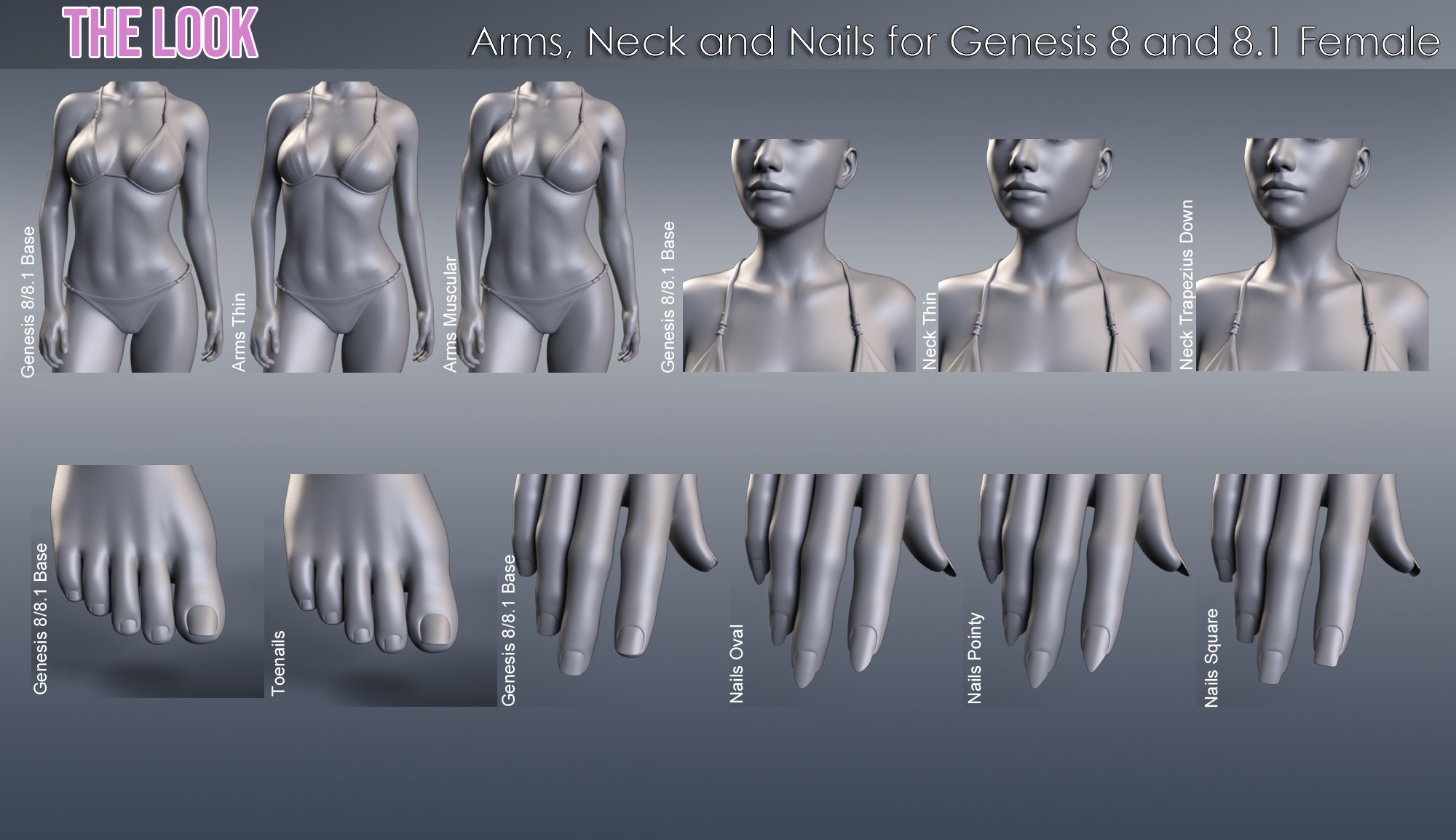 The Look HD Body Morph Resource for Genesis 8 and 8.1 Female by: P3Design, 3D Models by Daz 3D