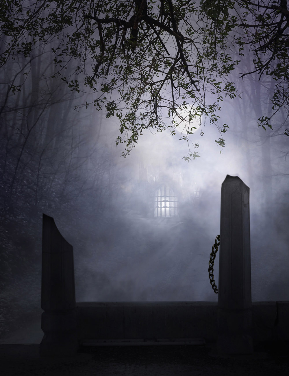 FOG-N-STORM Brushes FOG-N-STORM Brushes by: RajRaja, 3D Models by Daz 3D