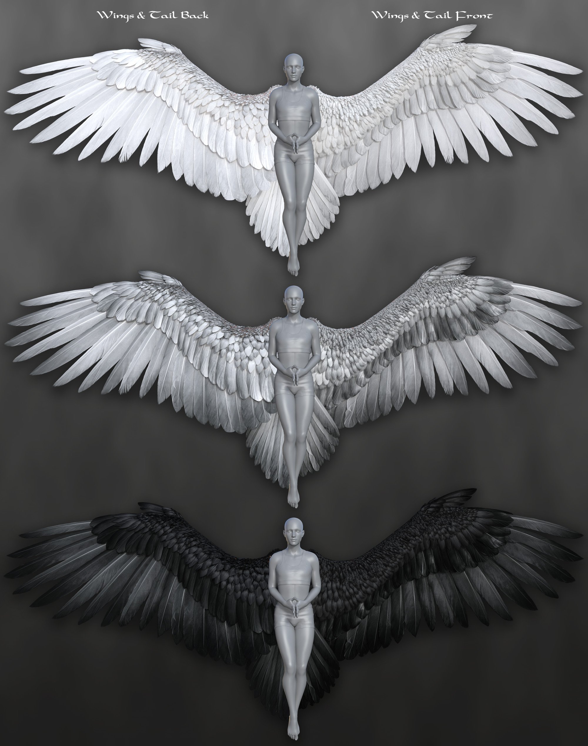 Avija Wings and Tail for Genesis 8 and 8.1 Females by: Arki, 3D Models by Daz 3D