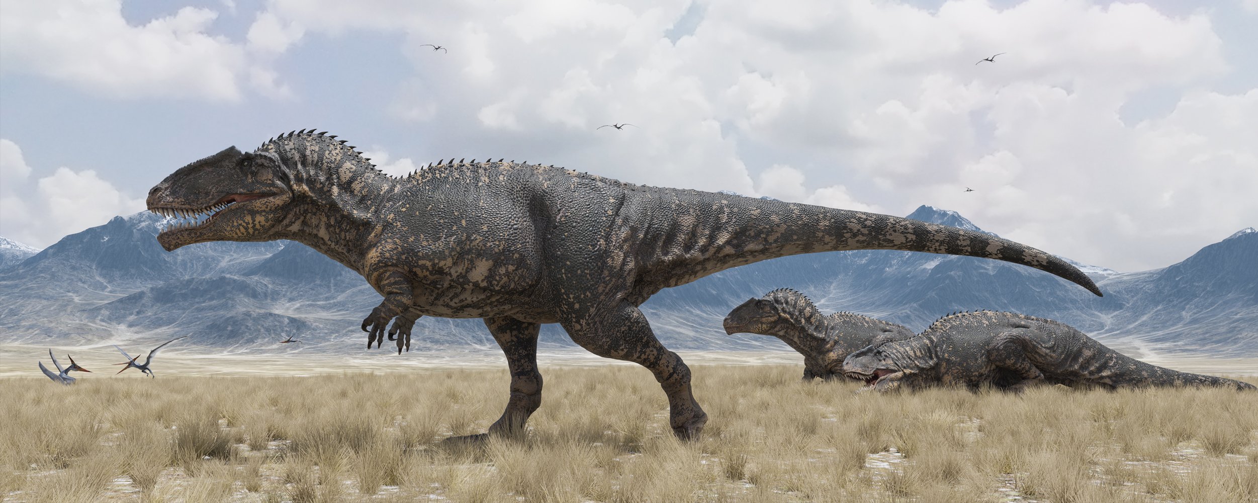 HH Giganotosaurus HH Giganotosaurus by: Herschel Hoffmeyer, 3D Models by Daz 3D