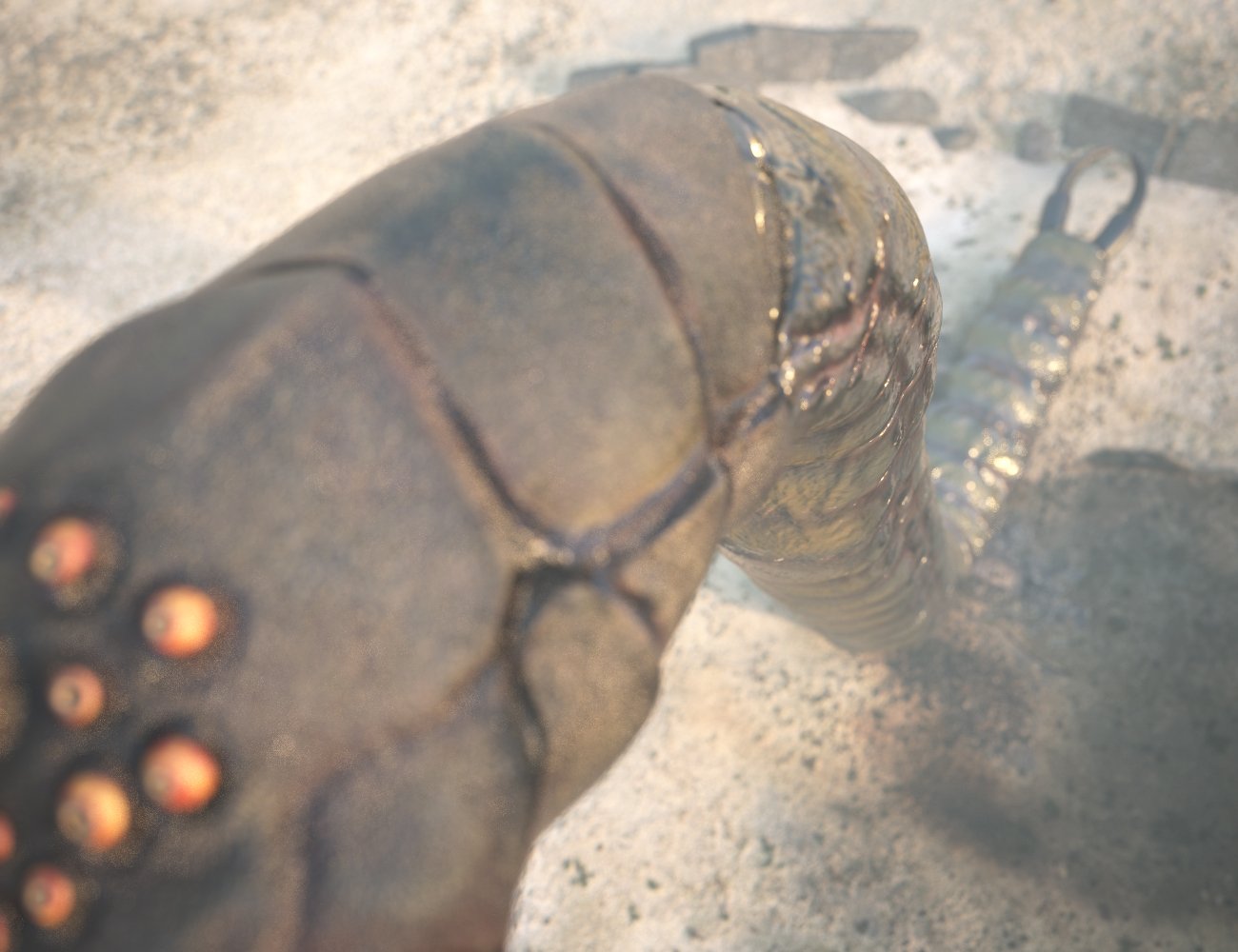 Monster Worm Monster Worm by: Xivon, 3D Models by Daz 3D