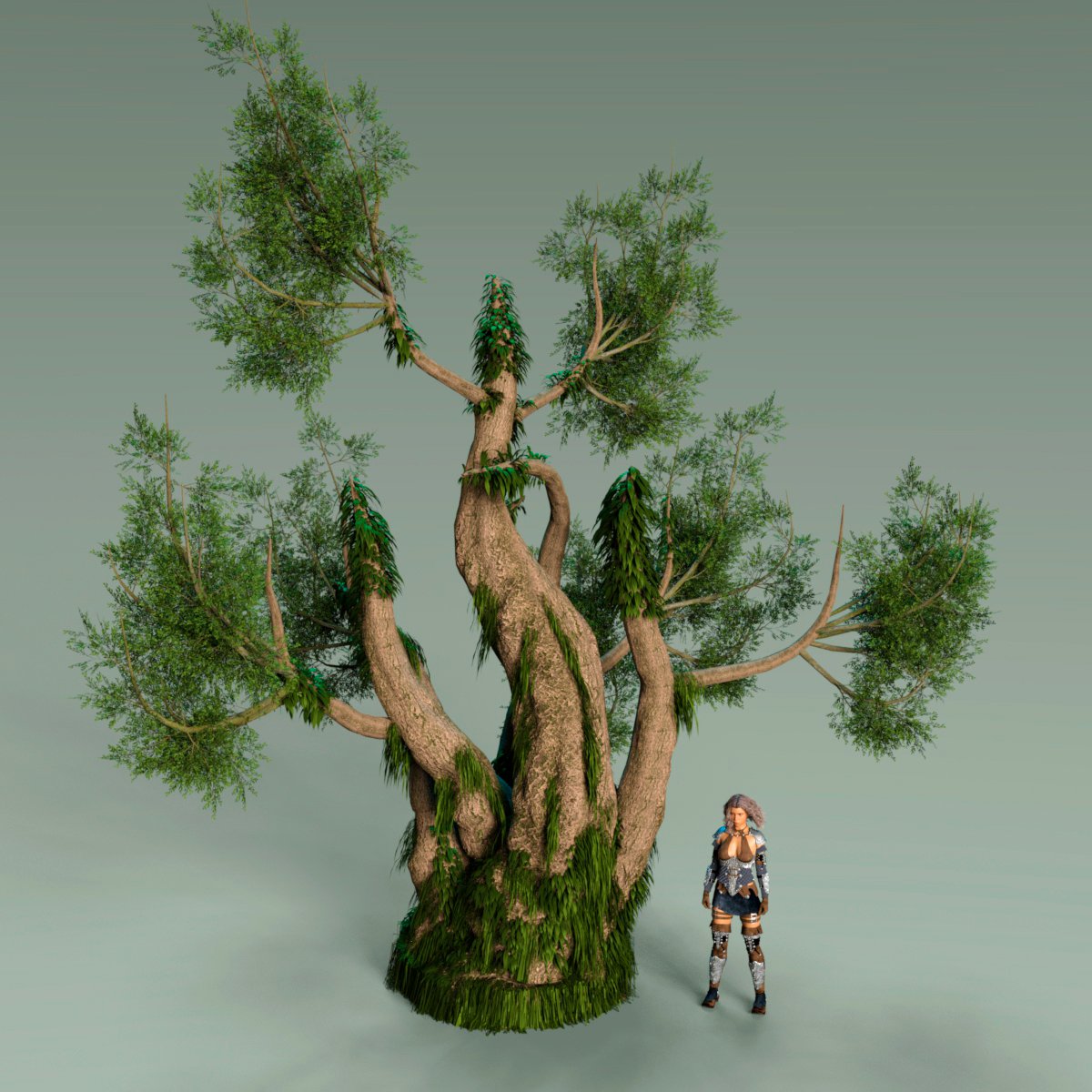 Nordic Trees by: Gendragon3D, 3D Models by Daz 3D