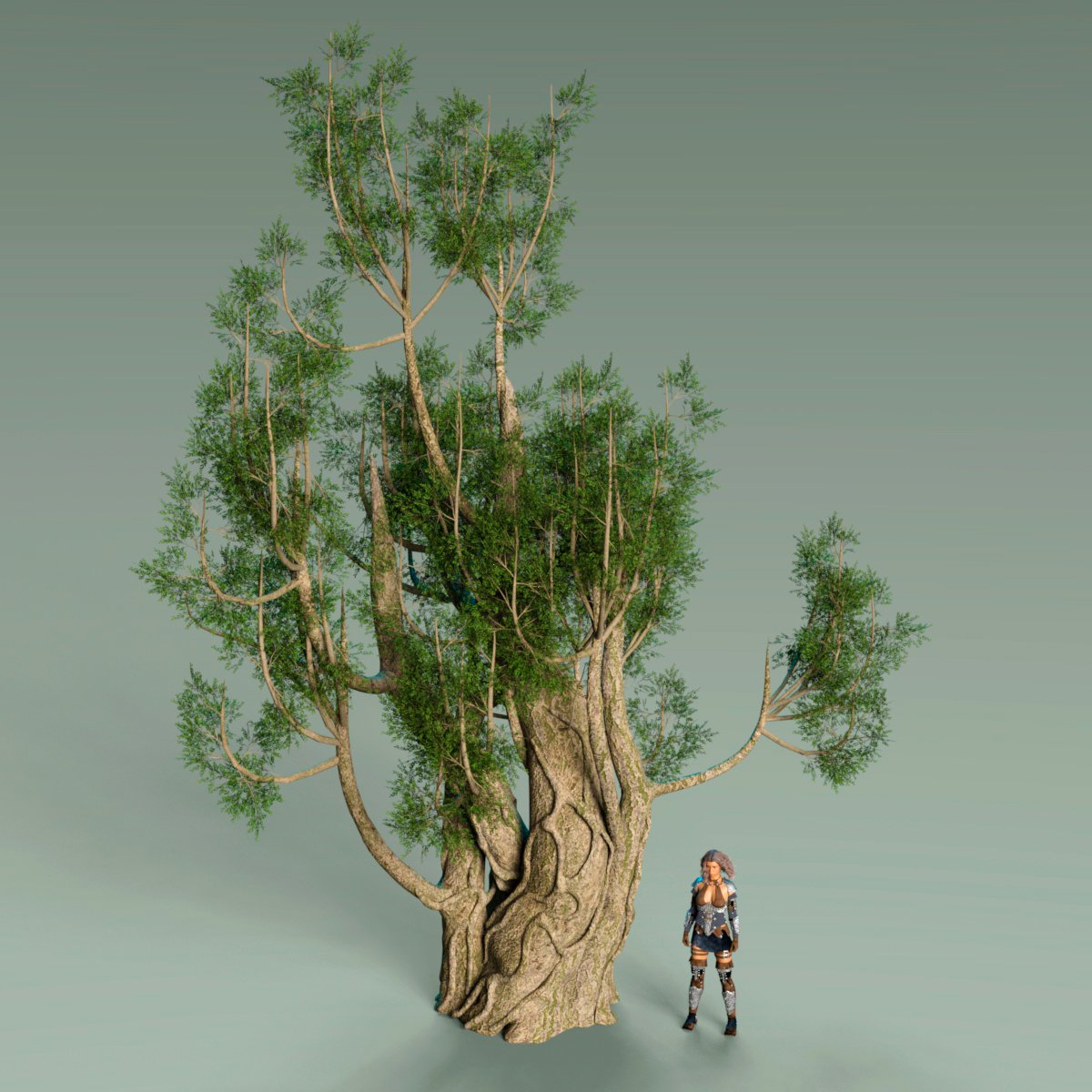 Nordic Trees Nordic Trees by: Gendragon3D, 3D Models by Daz 3D