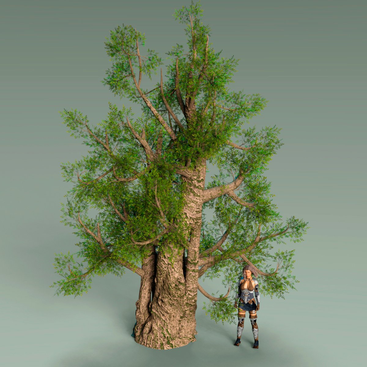 Nordic Trees Nordic Trees by: Gendragon3D, 3D Models by Daz 3D