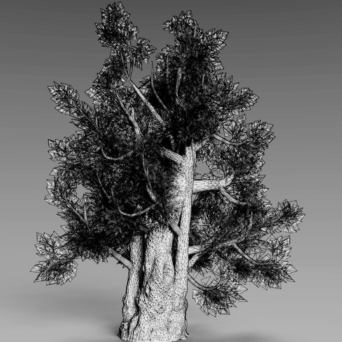 Nordic Trees Nordic Trees by: Gendragon3D, 3D Models by Daz 3D