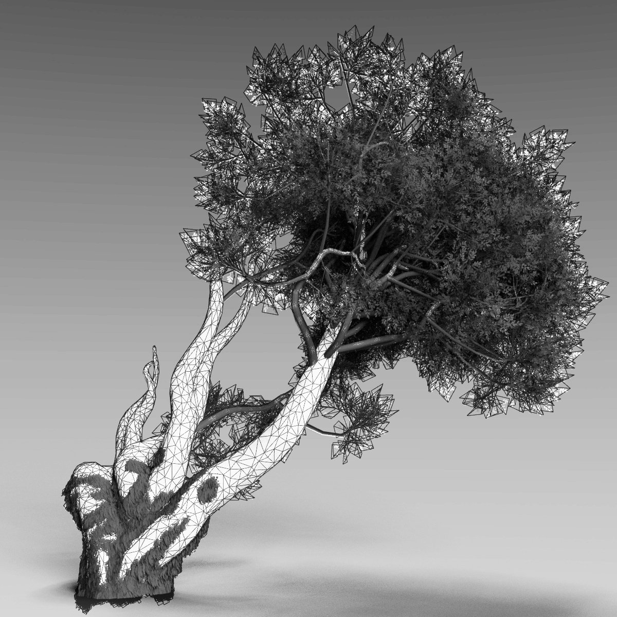 Nordic Trees Nordic Trees by: Gendragon3D, 3D Models by Daz 3D