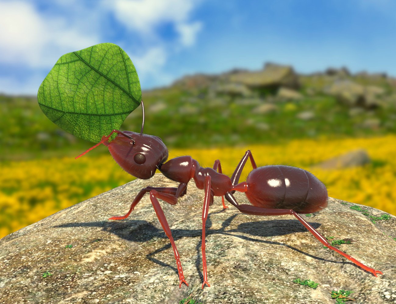 Garden Ant by: Sylvan, 3D Models by Daz 3D