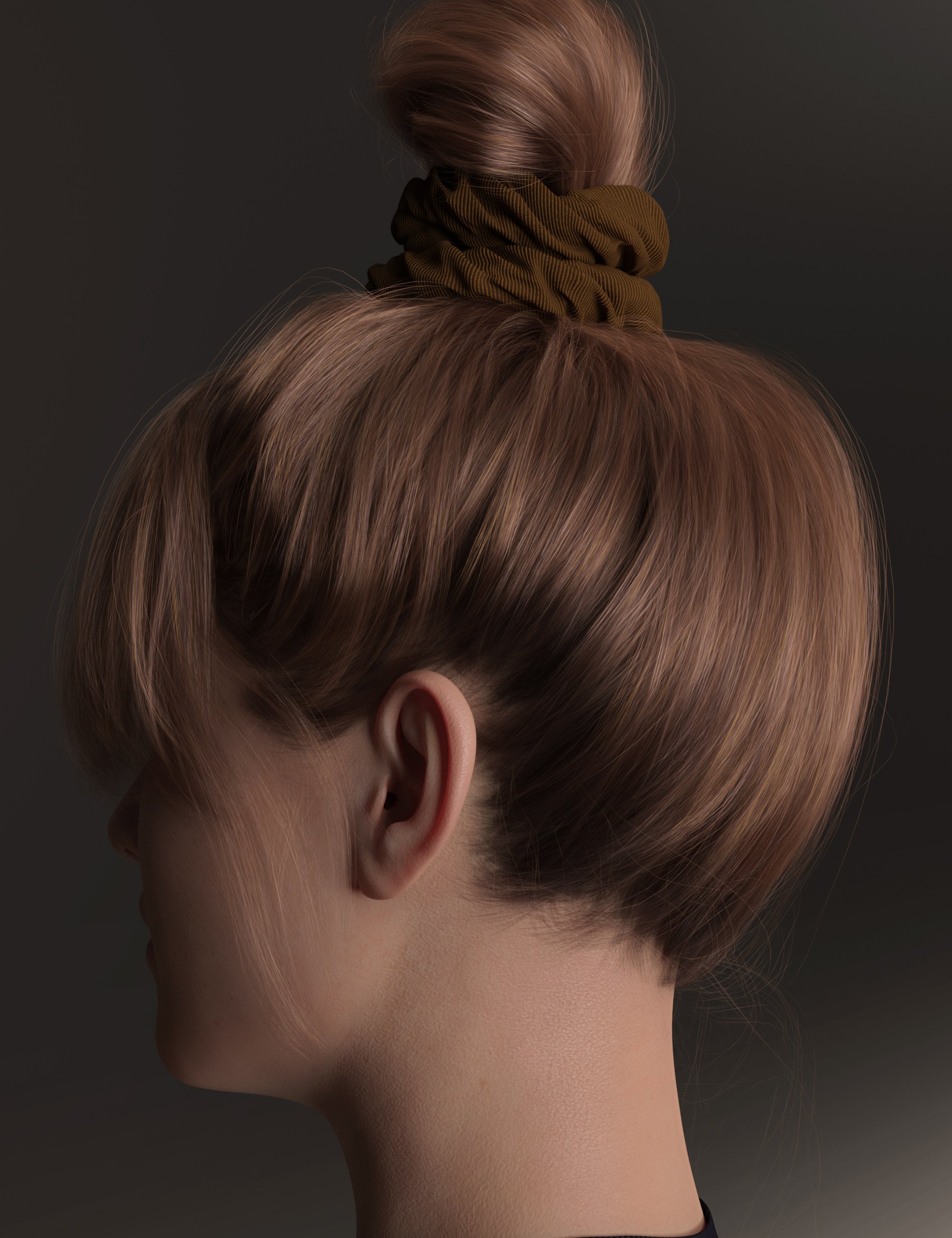 4-in-1 Buns and Ponytail Hair for Genesis 8 and 8.1 Females by: outoftouch, 3D Models by Daz 3D