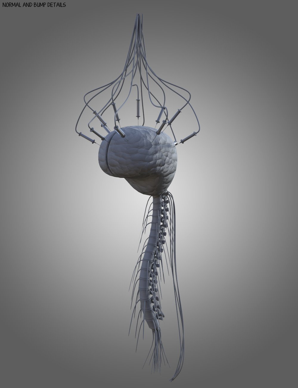 Sci-Fi Essentials Cryo Chambered Brain Sci-Fi Essentials Cryo Chambered Brain by: ForbiddenWhispersDavid Brinnen, 3D Models by Daz 3D