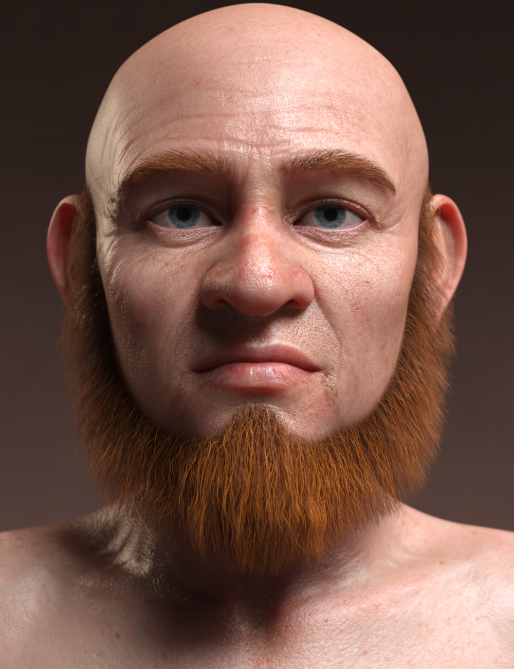 Leprechaun Beard and Brows for Genesis 8.1 Males