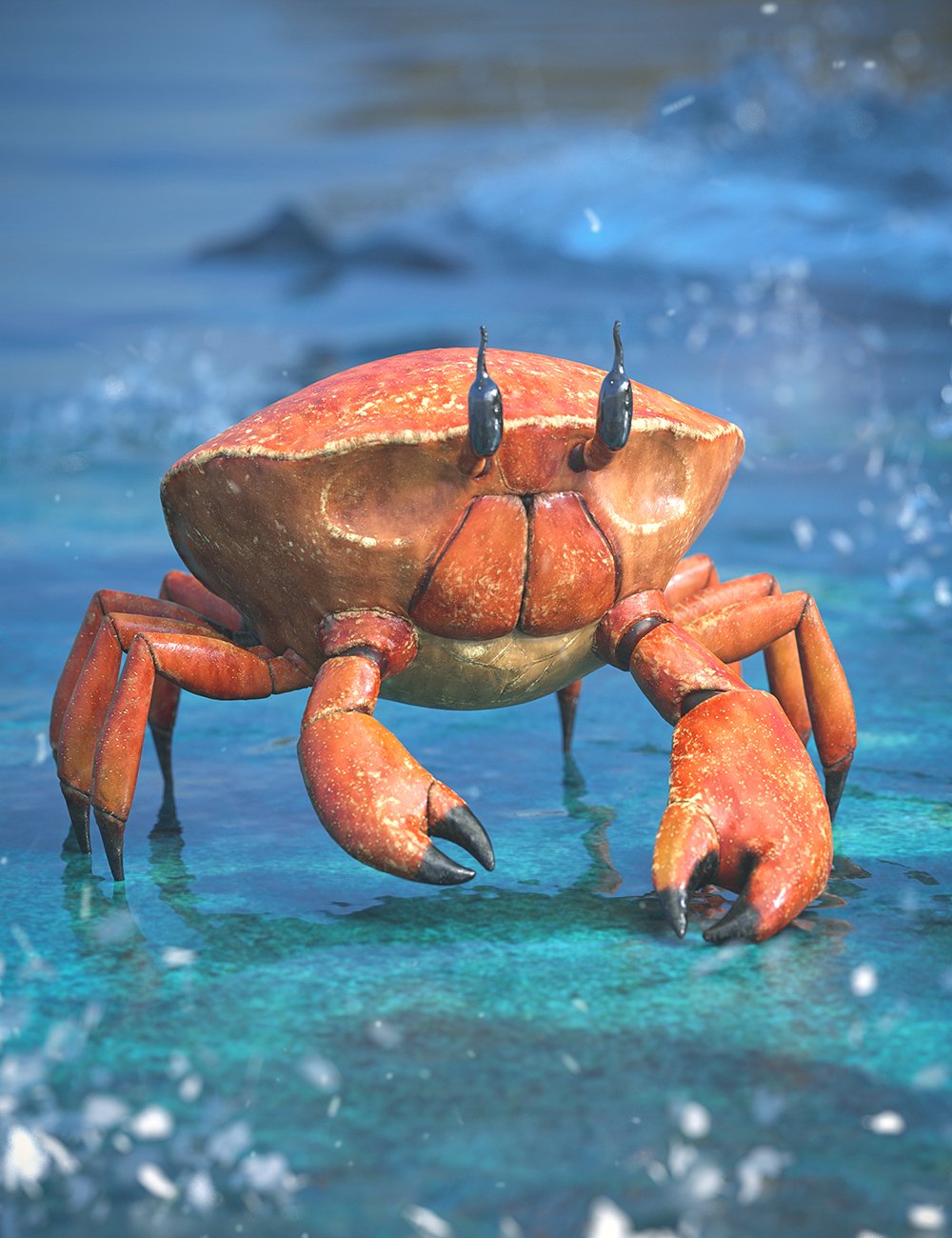 Ghost Crab HD by: Sixus1 Media, 3D Models by Daz 3D