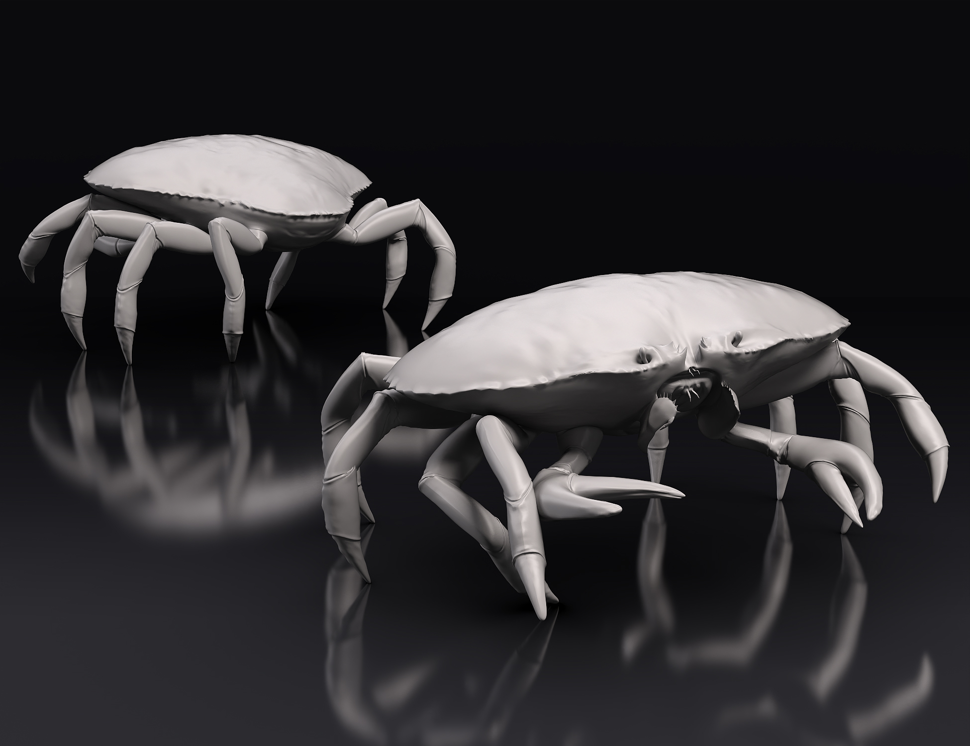 Dungeness Crab HD Dungeness Crab HD by: Sixus1 Media, 3D Models by Daz 3D