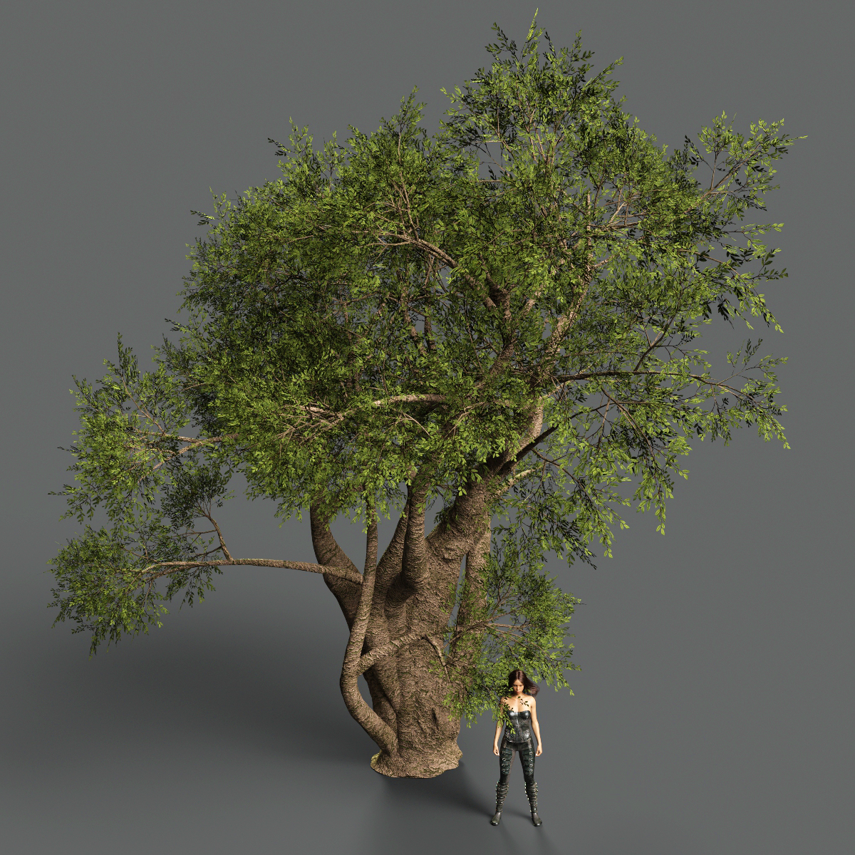Exquisite Trees by: Gendragon3D, 3D Models by Daz 3D