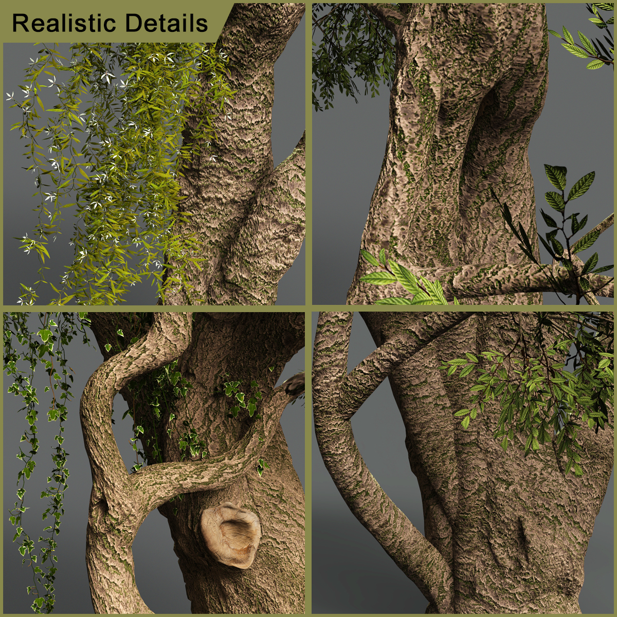 Exquisite Trees Exquisite Trees by: Gendragon3D, 3D Models by Daz 3D