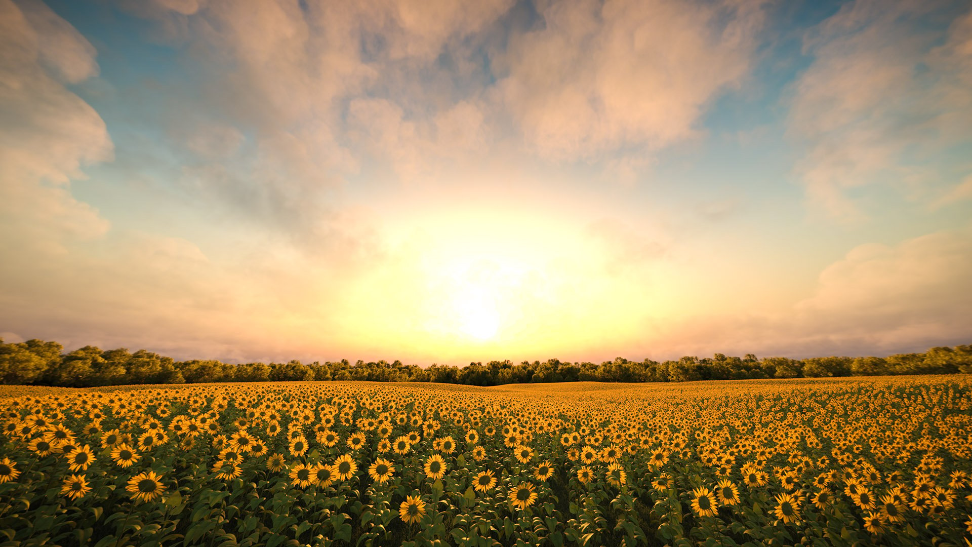 Sunflower Fields 8k Iray HDRIs by: DimensionTheory, 3D Models by Daz 3D