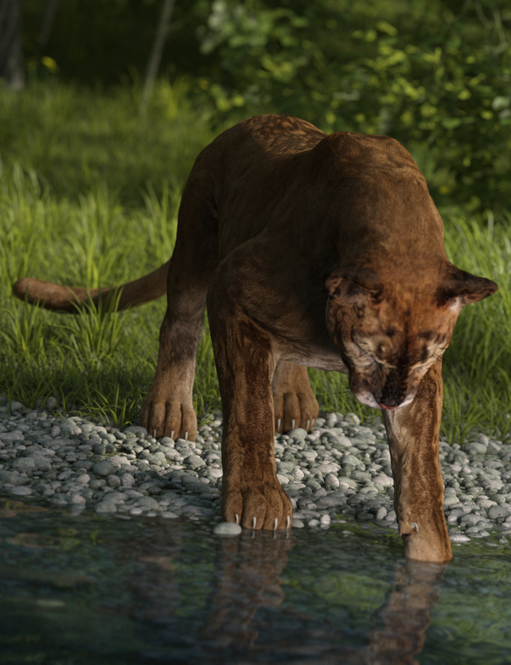Mountain Lion Poses for Big Cat 2 Cougar by: Ensary, 3D Models by Daz 3D
