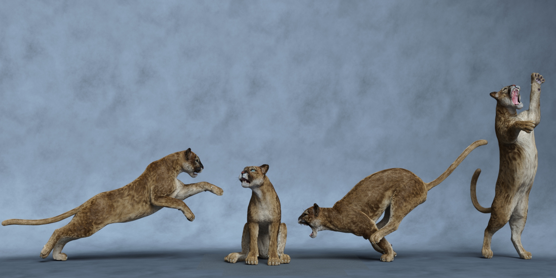 Mountain Lion Poses for Big Cat 2 Cougar Mountain Lion Poses for Big Cat 2 Cougar by: Ensary, 3D Models by Daz 3D