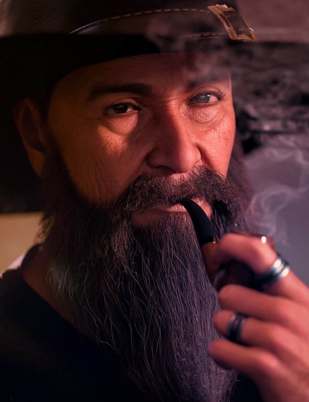Wizard's Beard and Brows for Genesis 8.1 Males