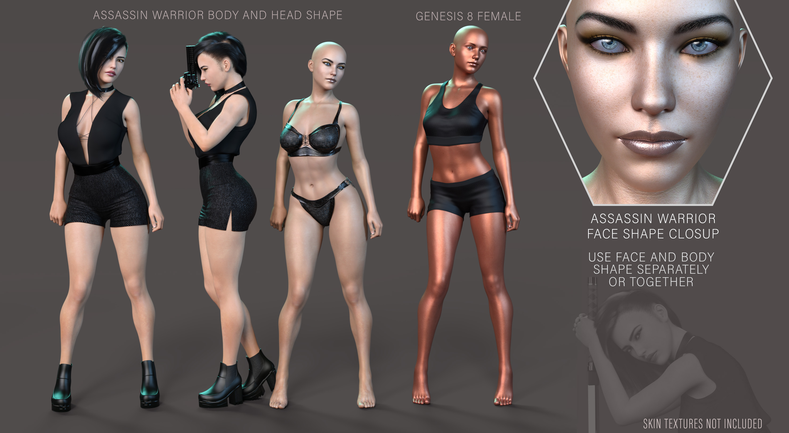 Z Assassin Warrior Shape and Pose Mega Set for Genesis 8 and 8.1 Female by: Zeddicuss, 3D Models by Daz 3D