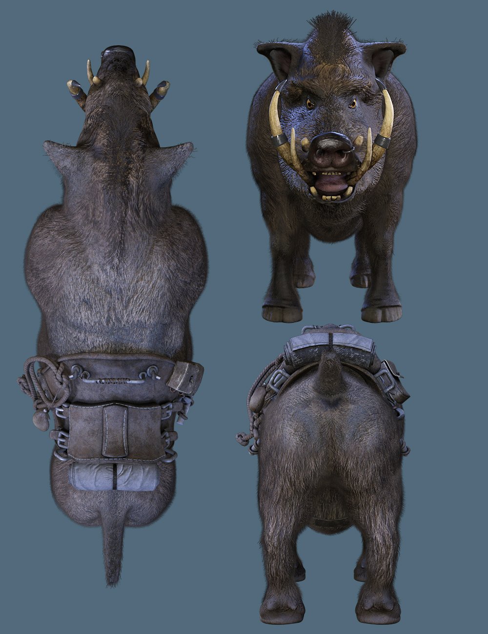 Battle Boar by: The AntFarm, 3D Models by Daz 3D