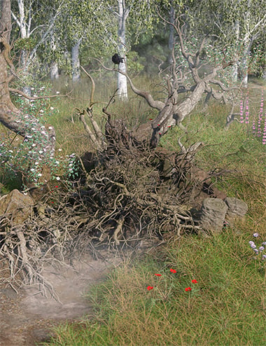 Tanglewood Stumpery - Fairy Tale Tree Stumps, Dead and Fallen Trees by: MartinJFrost, 3D Models by Daz 3D