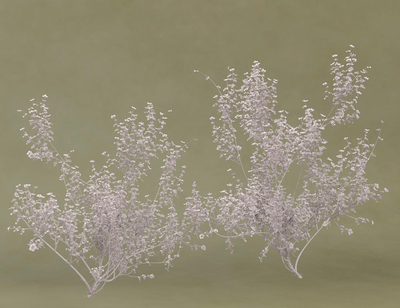 Wild Dog Rose - Flowering Hedgerow Shrubs for Daz Studio by: MartinJFrost, 3D Models by Daz 3D