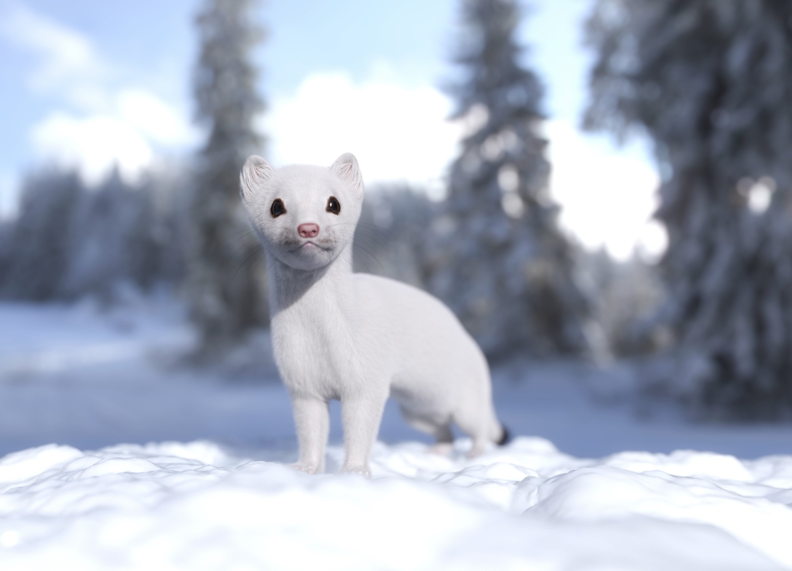 Weasel by AM by: Alessandro_AM, 3D Models by Daz 3D