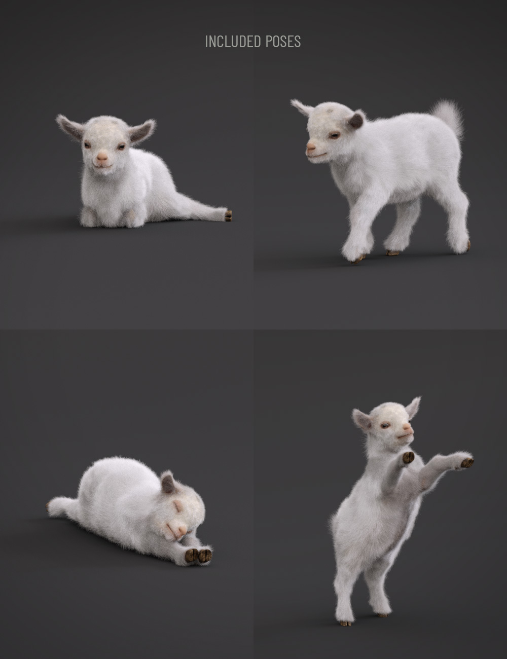 Popcorn the Goat by: Hypertaf, 3D Models by Daz 3D