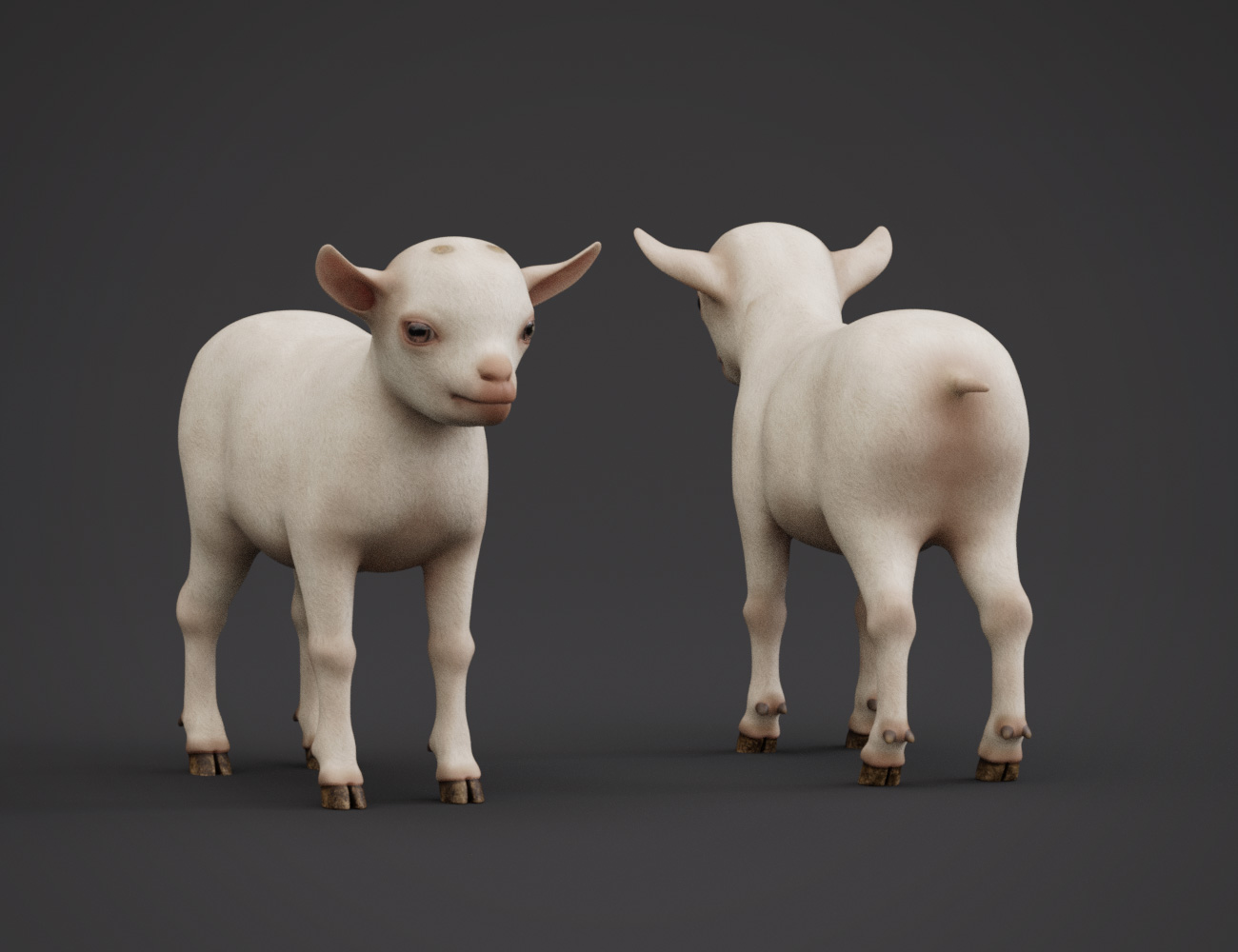 Popcorn the Goat Popcorn the Goat by: Hypertaf, 3D Models by Daz 3D