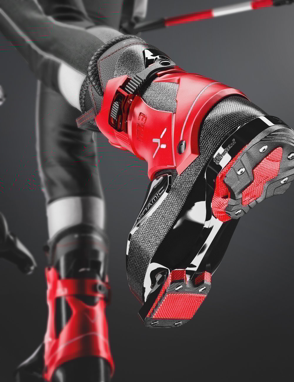 AJC Dynamic Ski Line Outfit Accessories for Genesis 8 and 8.1 Females AJC Dynamic Ski Line Outfit Accessories for Genesis 8 and 8.1 Females by: adeilsonjc, 3D Models by Daz 3D