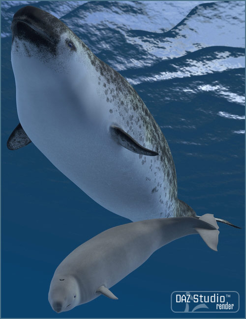 Narwhal by: , 3D Models by Daz 3D