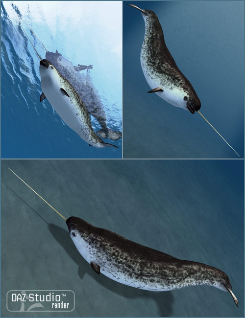Narwhal Narwhal by: , 3D Models by Daz 3D