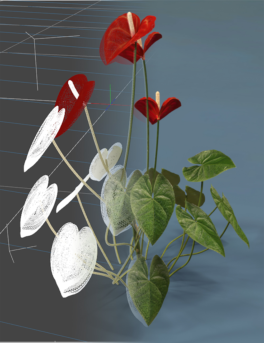 Tropical Flowering Anthuriums - Flamingo Lilies by: MartinJFrost, 3D Models by Daz 3D